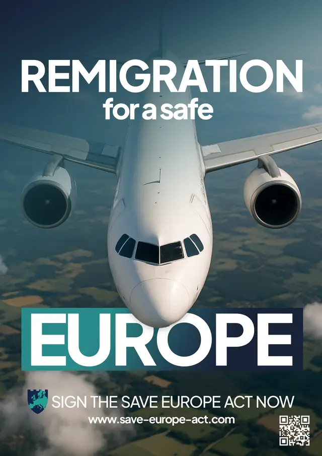 Poster 2 - Airplane